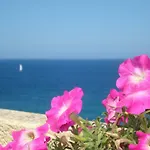 Il Doppio Nodo